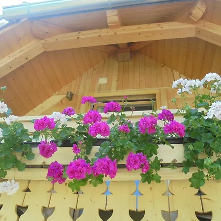 Farmhouse Pri Miklavu Bohinj Exterior foto