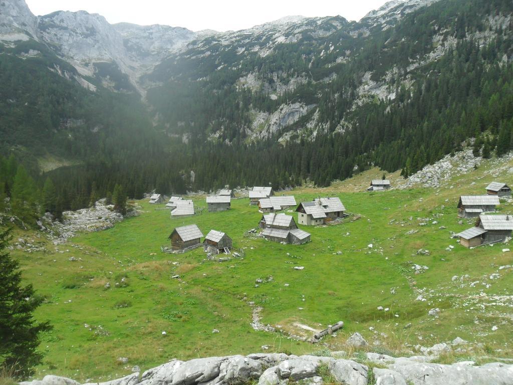 Séjour à la ferme Pri Miklavu *