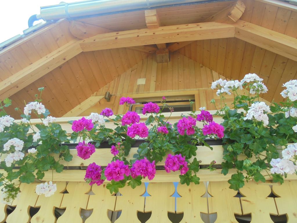 Pri Miklavu * Bohinj