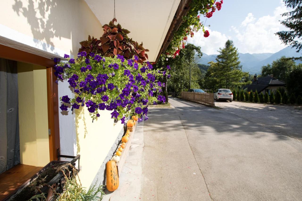 Séjour à la ferme Pri Miklavu Bohinj