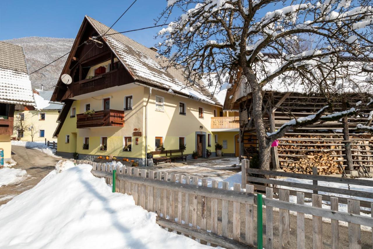 Pri Miklavu Séjour à la ferme *